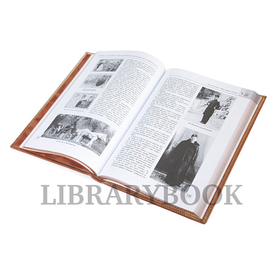 Миниатюра - 