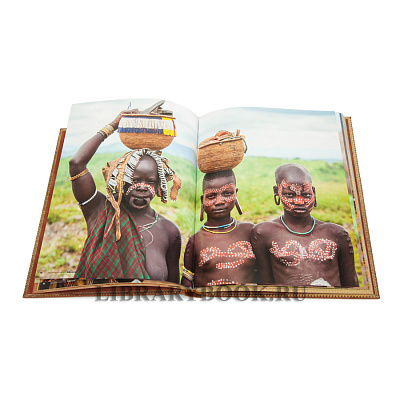 Миниатюра - 