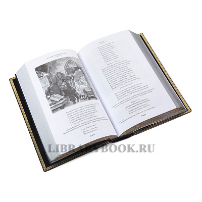 Миниатюра - 