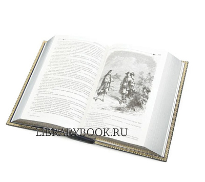 Миниатюра - 