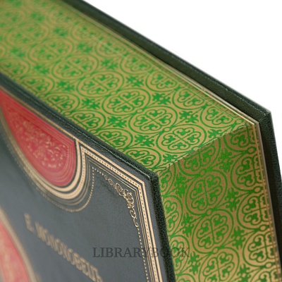 Миниатюра - 