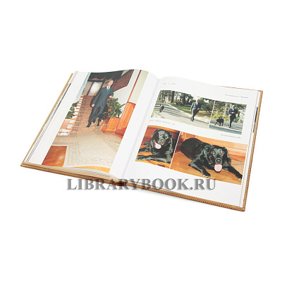 Миниатюра - 