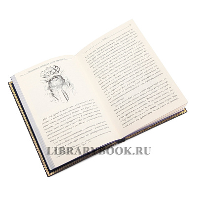 Миниатюра - 