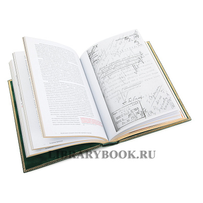 Миниатюра - 