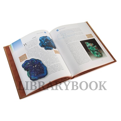 Миниатюра - 