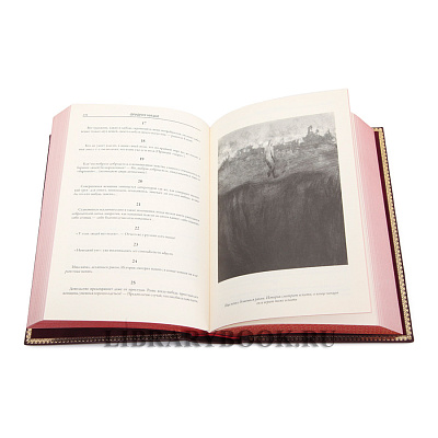 Миниатюра - 