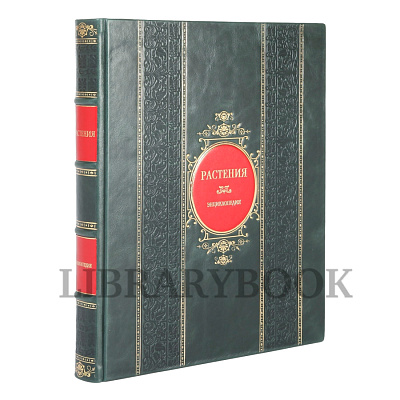 Миниатюра - 