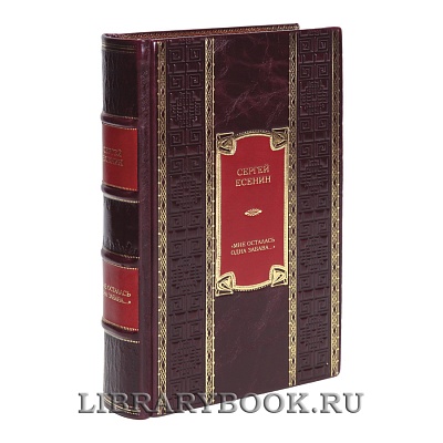 Миниатюра - 