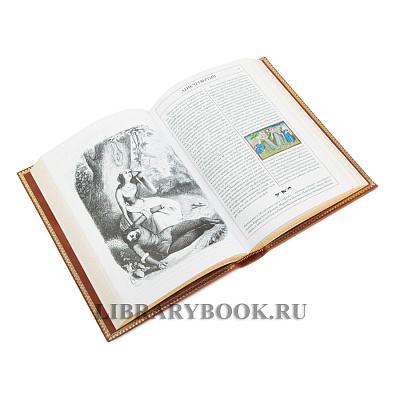 Миниатюра - 