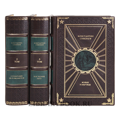 Миниатюра - 