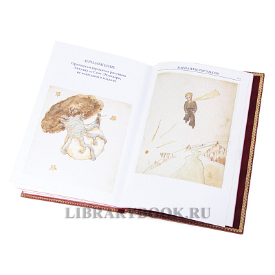 Миниатюра - 