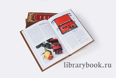 Миниатюра - 