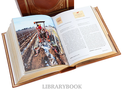 Миниатюра - 