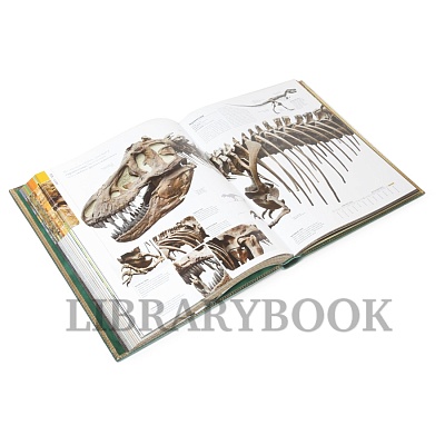 Миниатюра - 