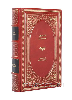 Миниатюра - 