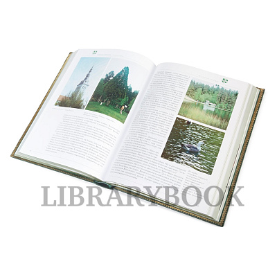 Миниатюра - 