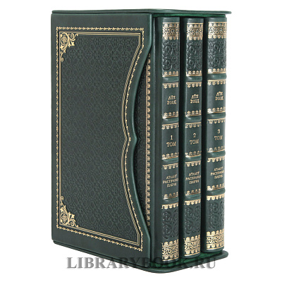 Миниатюра - 