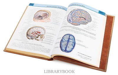 Миниатюра - 