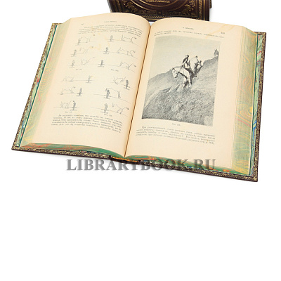 Миниатюра - 