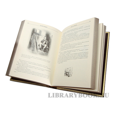 Миниатюра - 