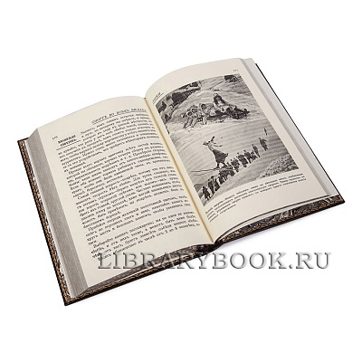 Миниатюра - 