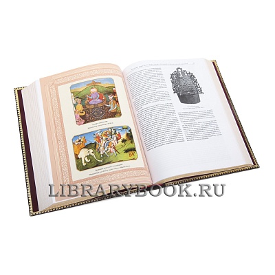 Миниатюра - 