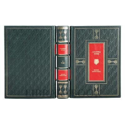 Миниатюра - 