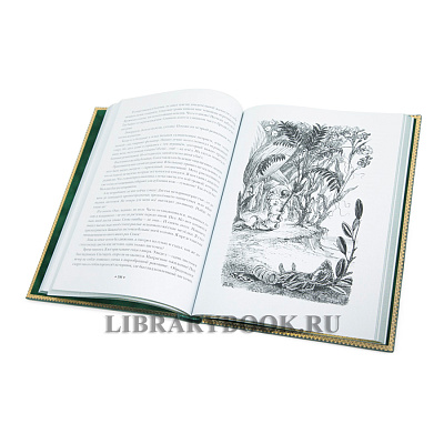 Миниатюра - 