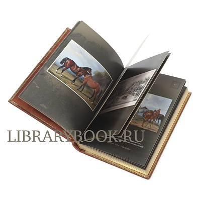 Миниатюра - 