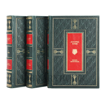 Миниатюра - 