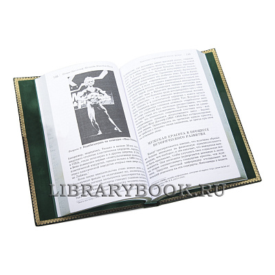 Миниатюра - 