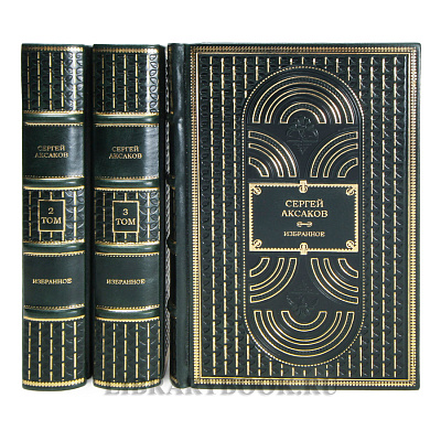 Миниатюра - 