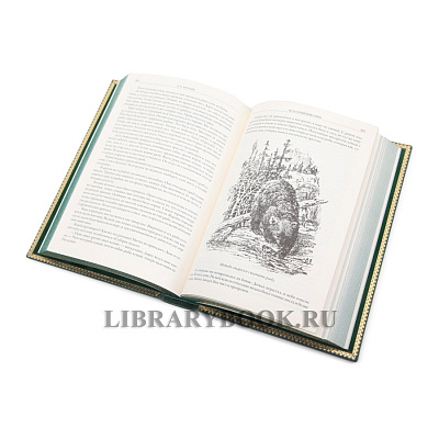 Миниатюра - 