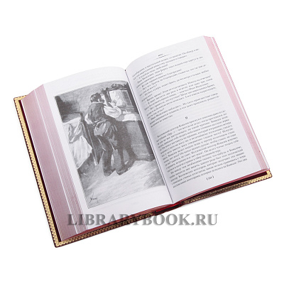 Миниатюра - 