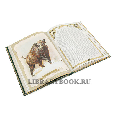 Миниатюра - 