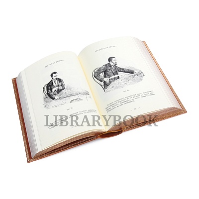 Миниатюра - 