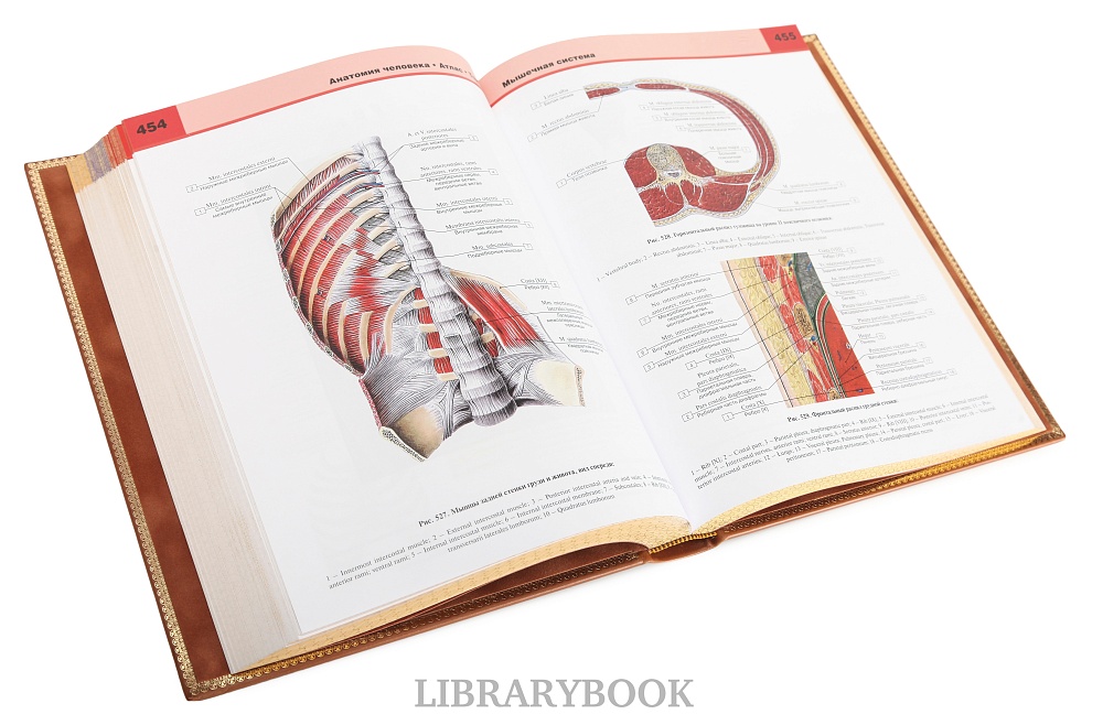 Подарочное издание книги Атлас анатомии человека в 3-х томах в кожаном переплете