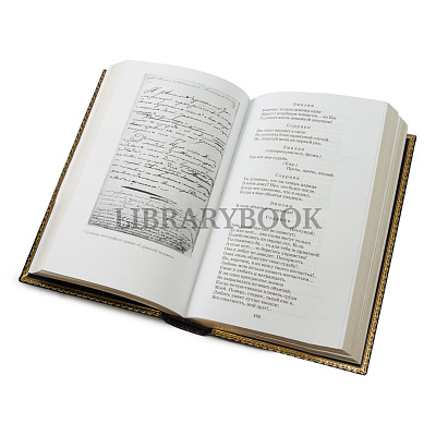 Миниатюра - 