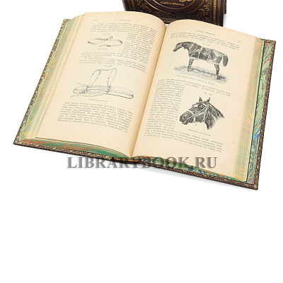 Миниатюра - 