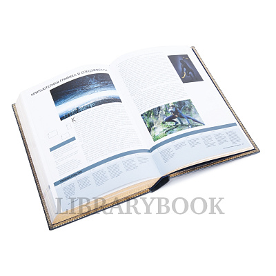 Миниатюра - 