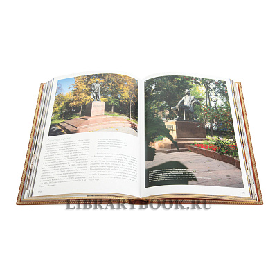 Миниатюра - 