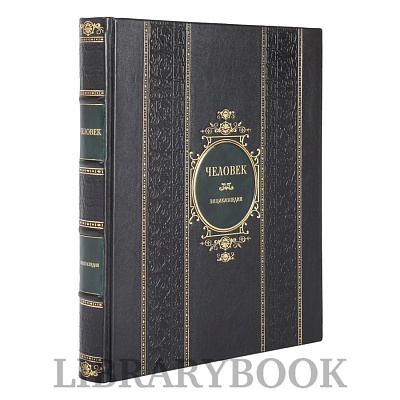 Миниатюра - 