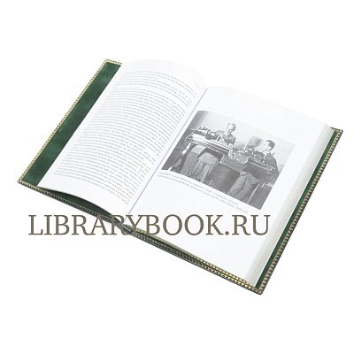 Миниатюра - 