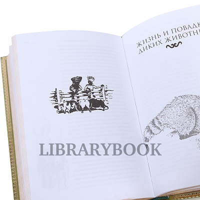 Миниатюра - 