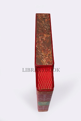 Миниатюра - 