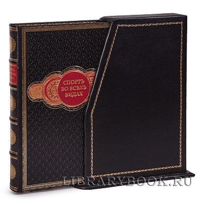 Миниатюра - 