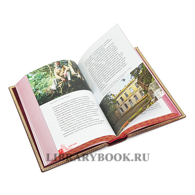 Миниатюра - 