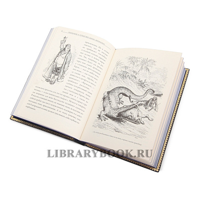 Миниатюра - 