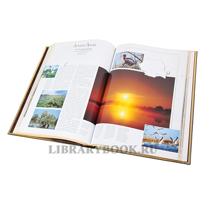 Миниатюра - 