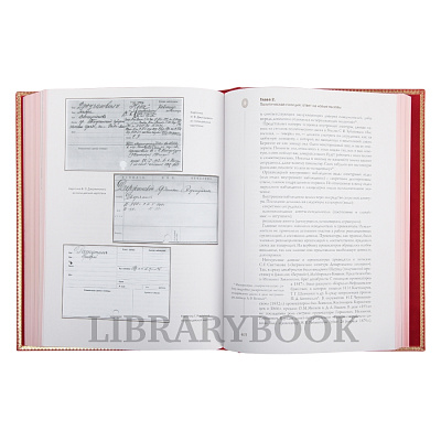 Миниатюра - 